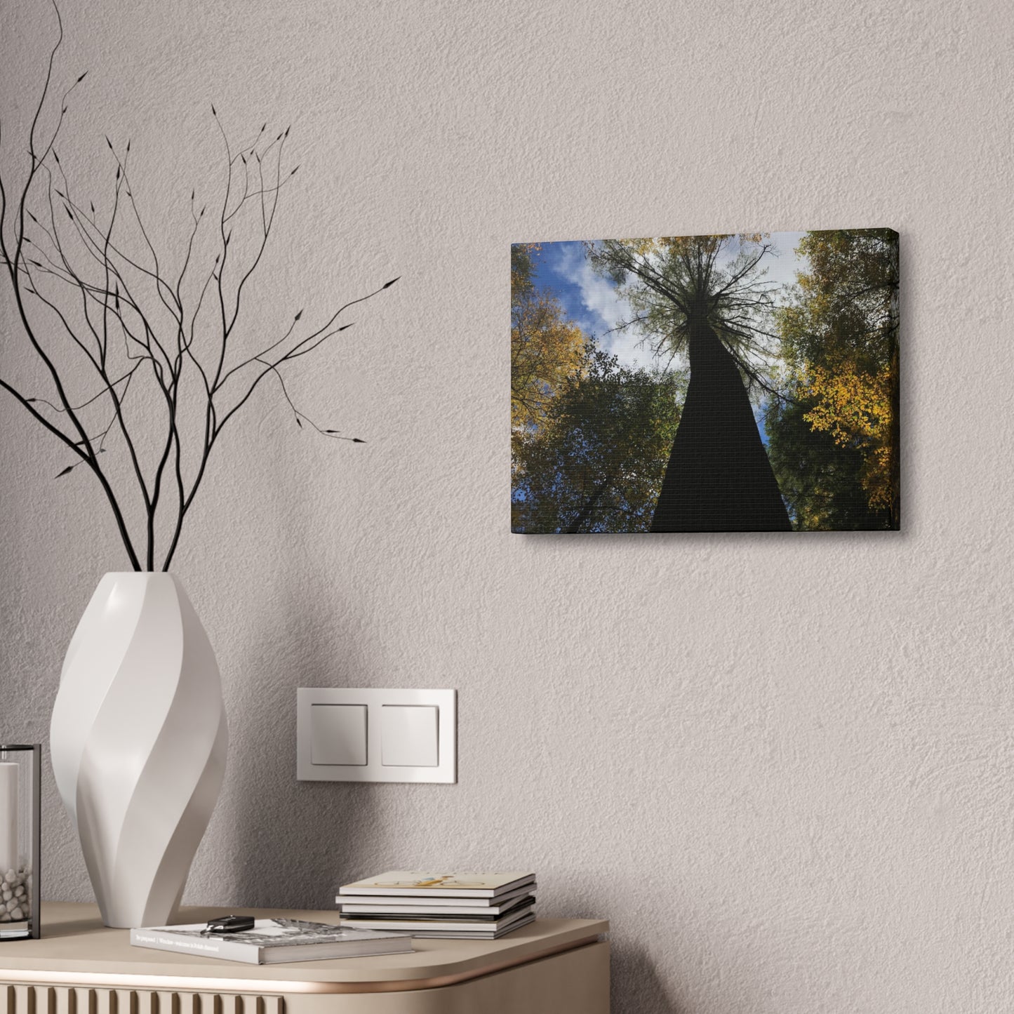 Canvas Stretched, Tree at Linville Falls, NC