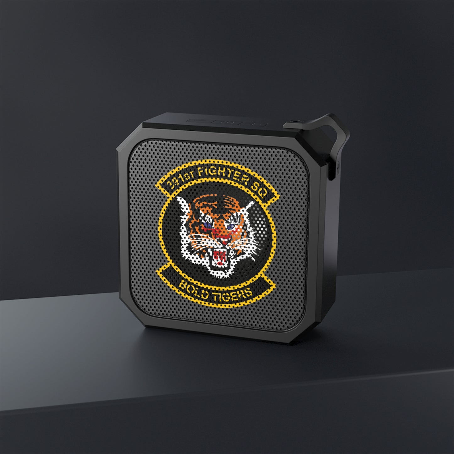 391FS Outdoor Bluetooth Speaker