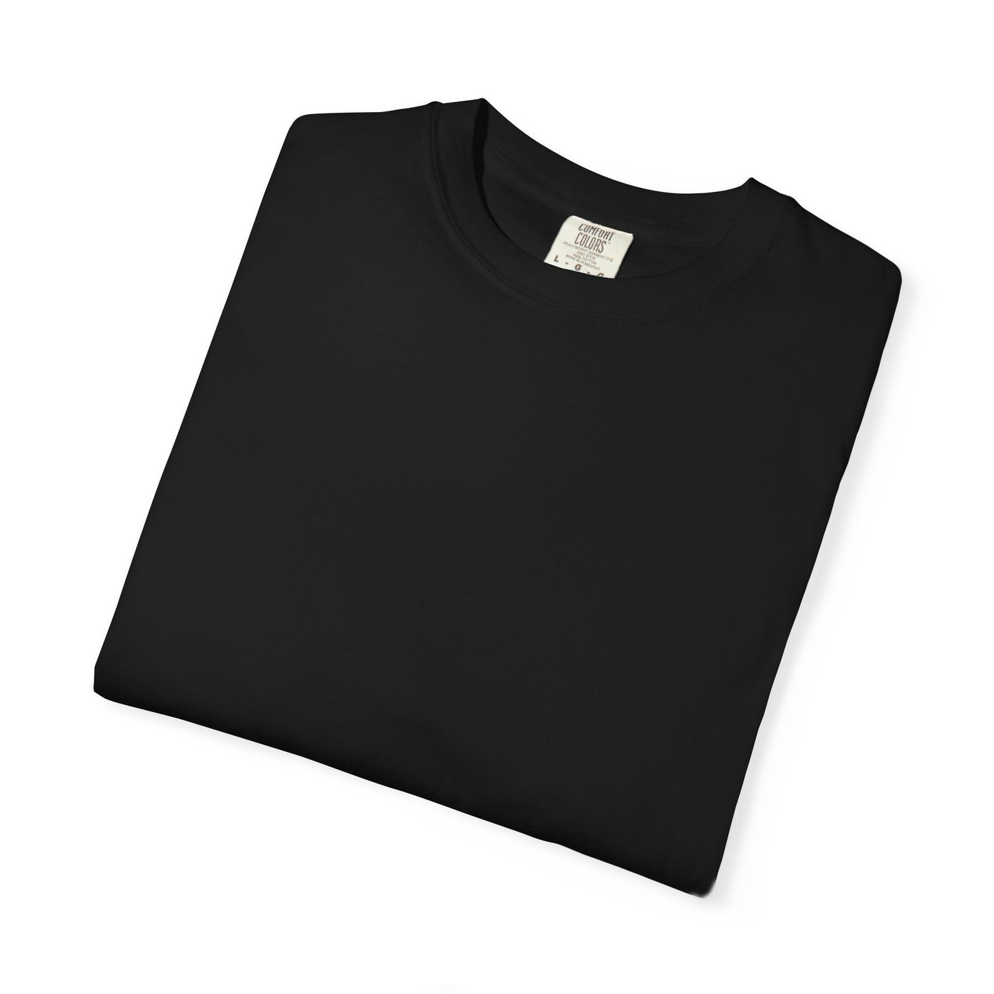 Fly Stealth F-35 Travel Poster Comfort Colors Unisex T-Shirt - Great Gift for Pilots and Aviation Enthusiasts
