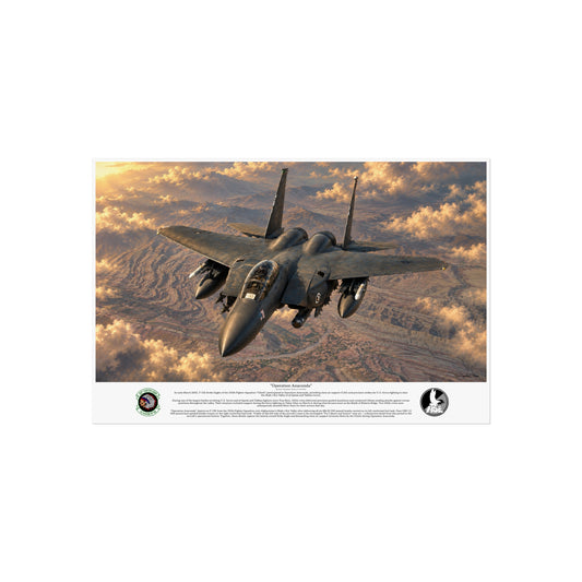 "Operation Anaconda" F-15E Strike Eagle Aviation Art Print | USAF Fighter Jet Wall Art | Military Aviation Artwork | Air Force Pilot & Veteran Gift