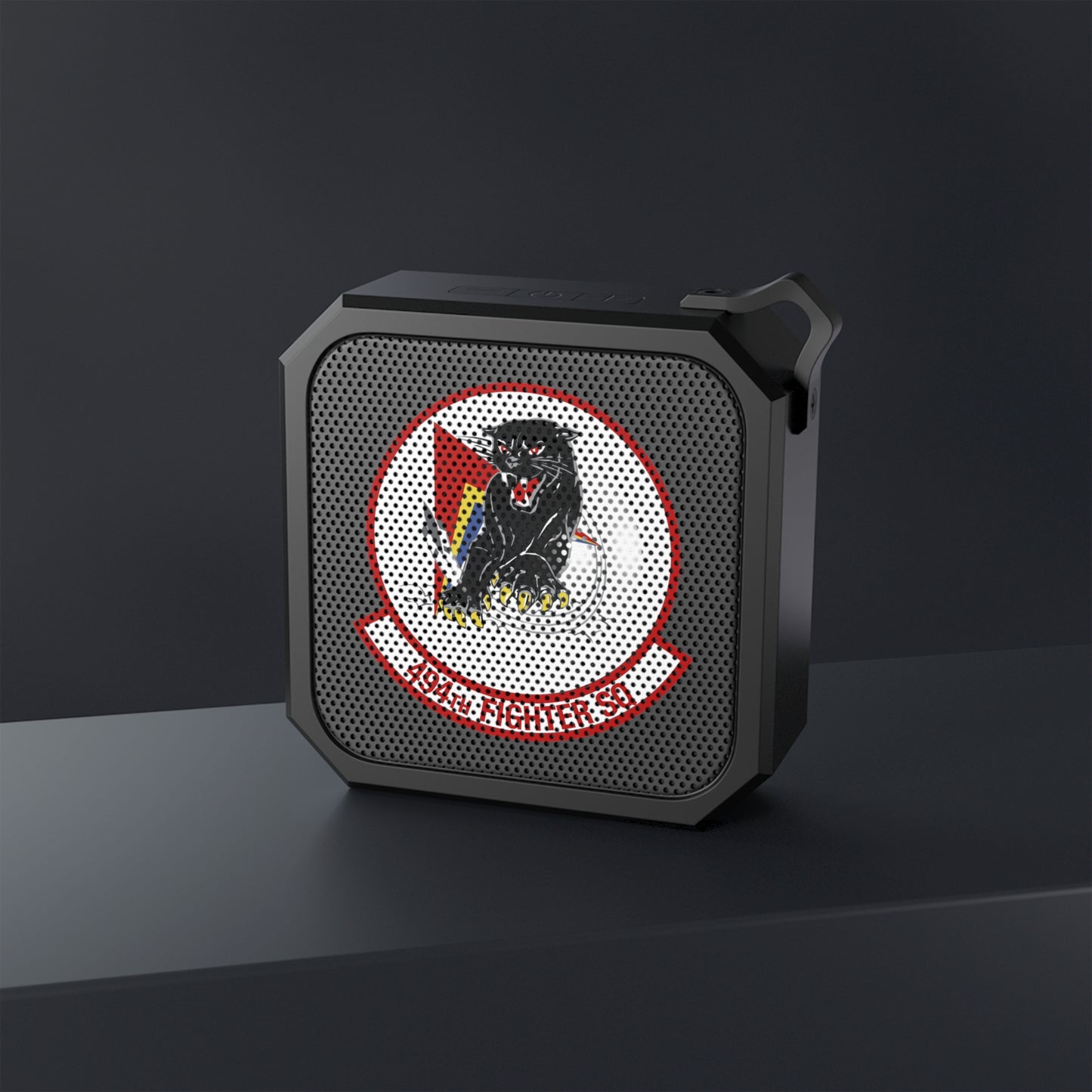 494FS Outdoor Bluetooth Speaker