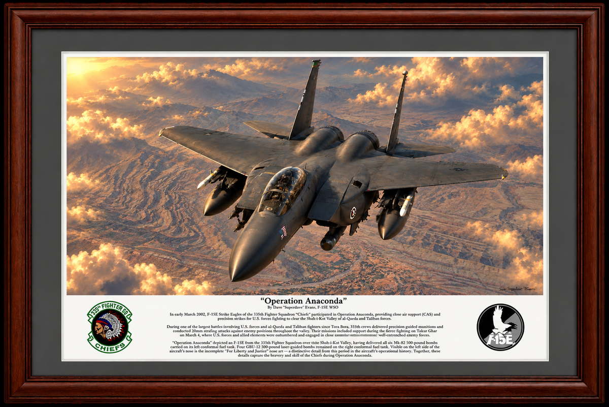 "Operation Anaconda" F-15E Strike Eagle Aviation Art Print | USAF Fighter Jet Wall Art | Military Aviation Artwork | Air Force Pilot & Veteran Gift