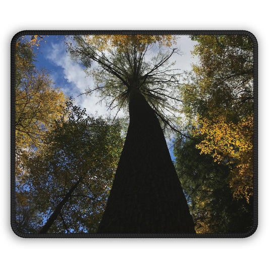 Gaming Mouse Pad, Tree at Linville Falls