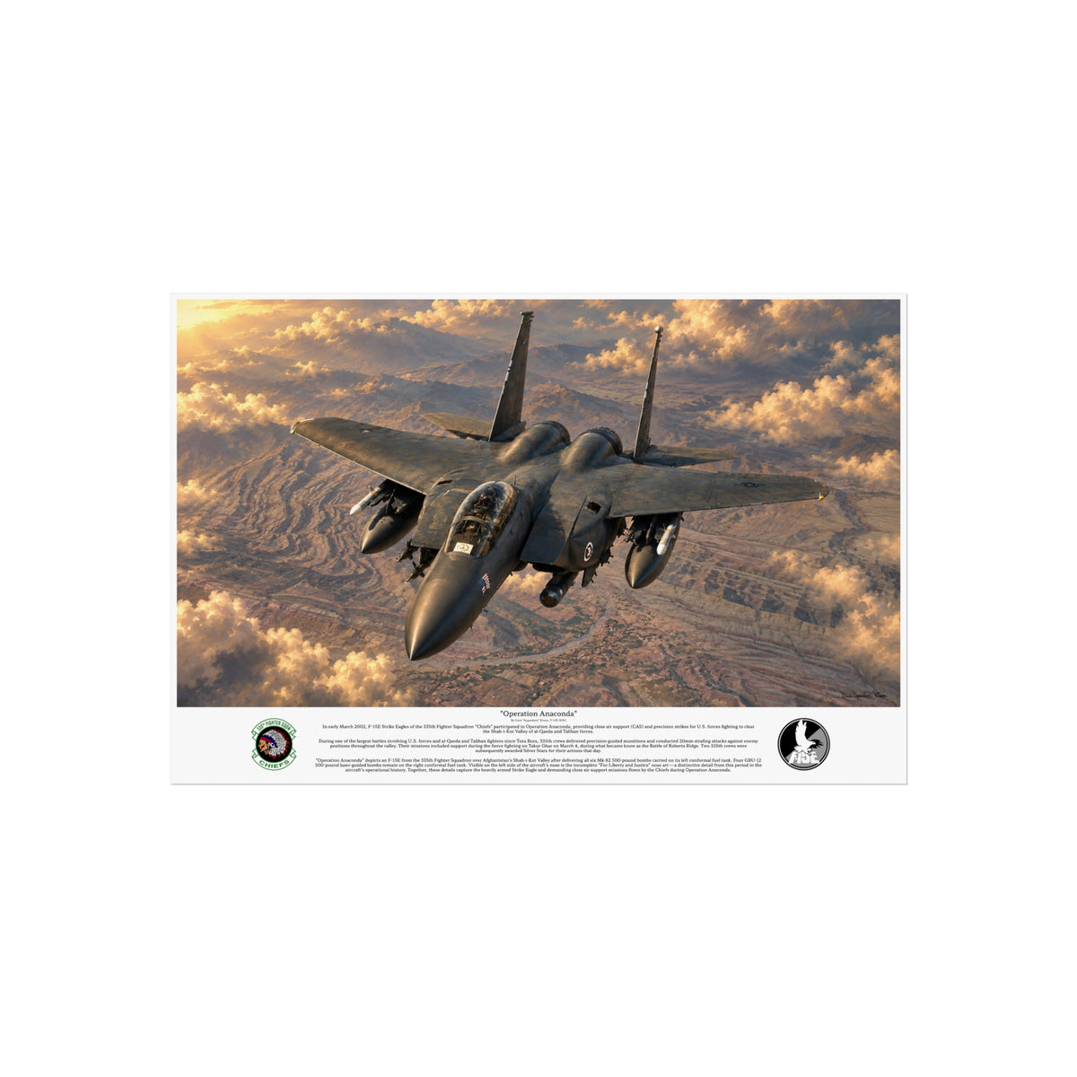 "Operation Anaconda" F-15E Strike Eagle Aviation Art Print | USAF Fighter Jet Wall Art | Military Aviation Artwork | Air Force Pilot & Veteran Gift
