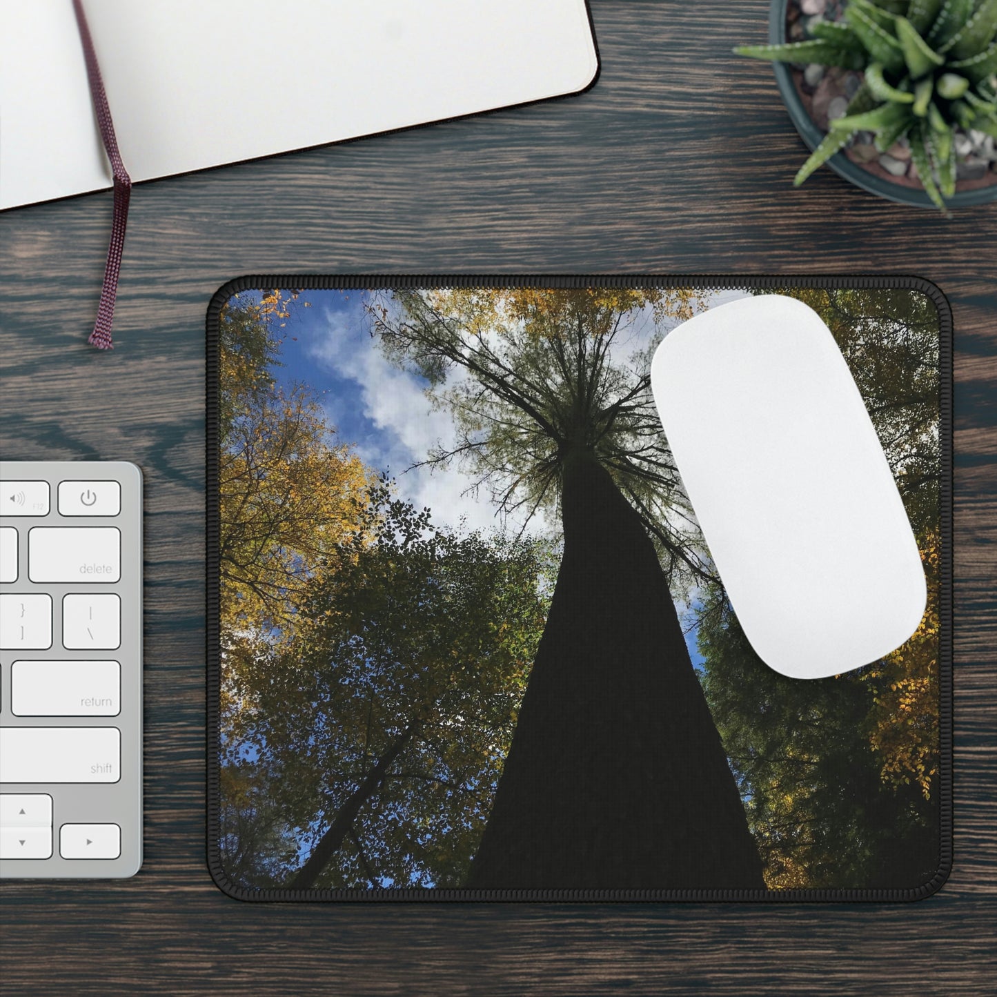 Gaming Mouse Pad, Tree at Linville Falls