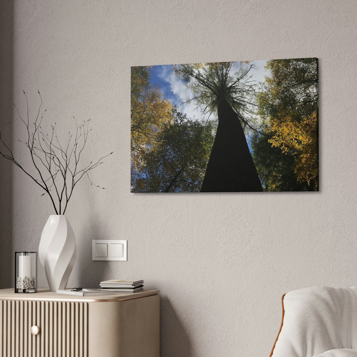 Canvas Stretched, Tree at Linville Falls, NC