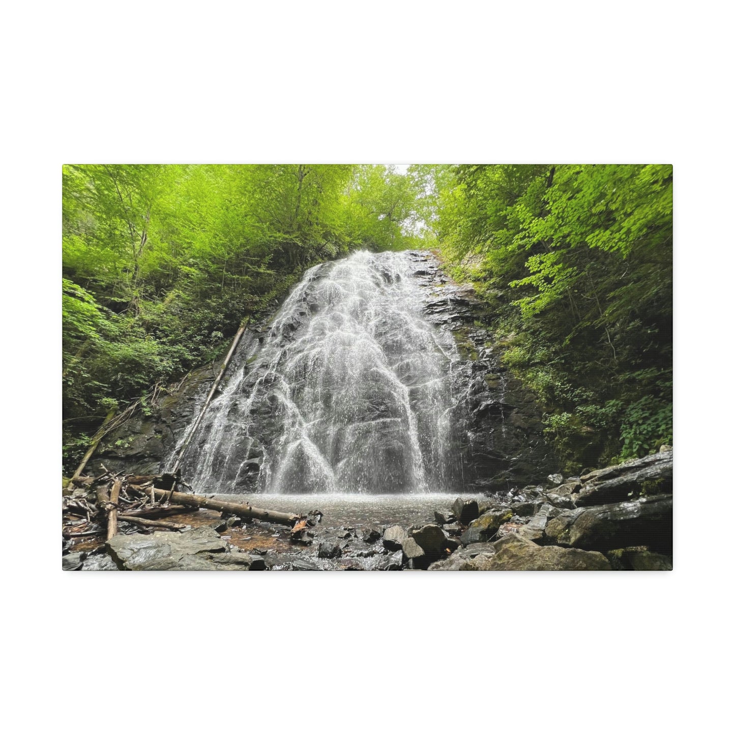 Canvas Stretched, Crabtree Falls, NC