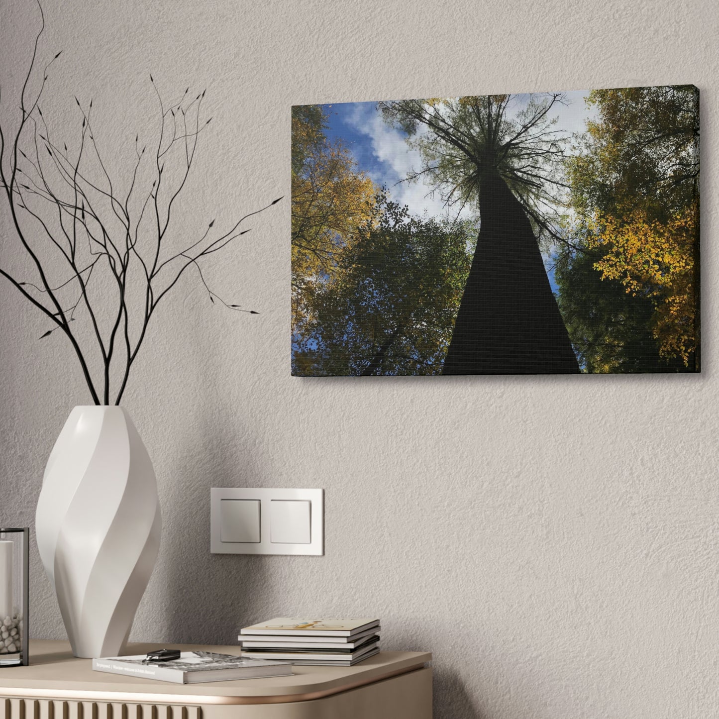 Canvas Stretched, Tree at Linville Falls, NC