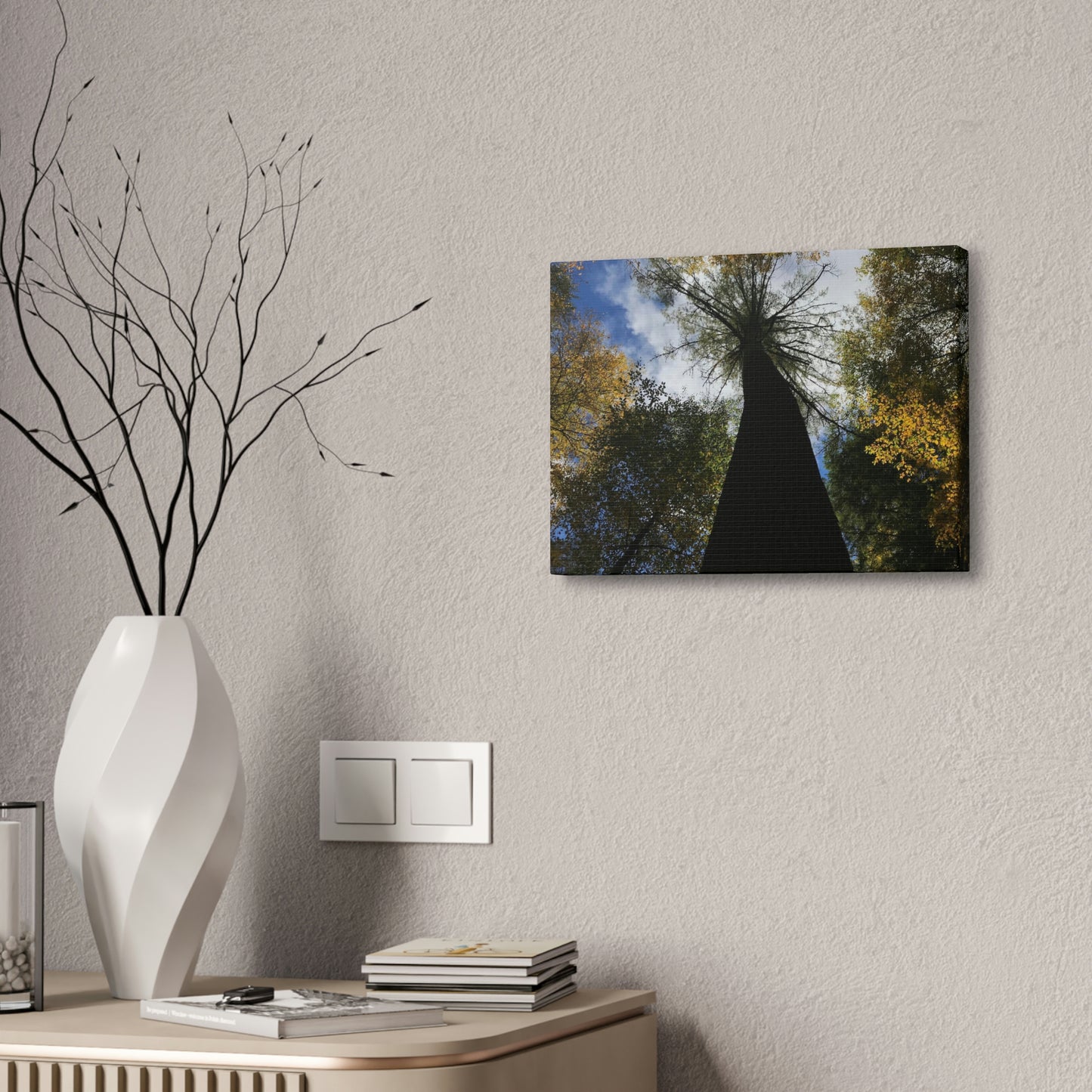 Canvas Stretched, Tree at Linville Falls, NC